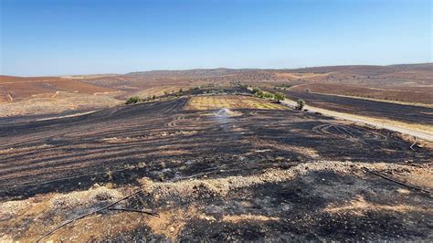 Turquie Un Feu De V G Tation Fait Au Moins Onze Morts Et Des Dizaines