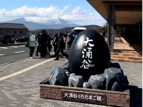 Desde Tokio Crucero por Hakone y Excursión de un día a la 5ª Estación