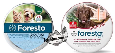 Противопаразитный ошейник Foresto (Форесто) Bayer 38см/70см купить в ...