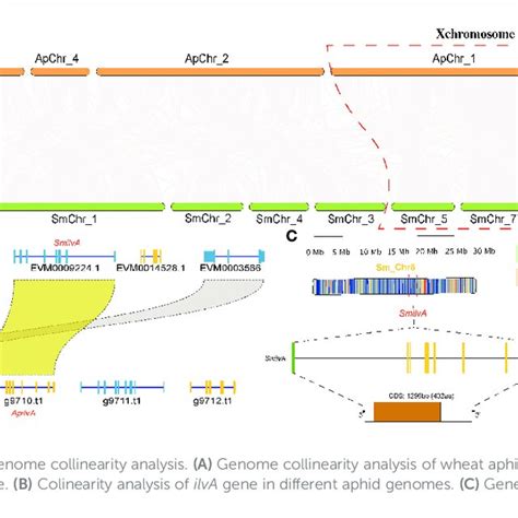 Analysis Of Gene Expression Levels And Selection Pressure On Different