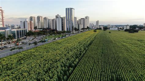 Conceito Inovador Contrapartidas E Planta Aprovada O Que Se Sabe