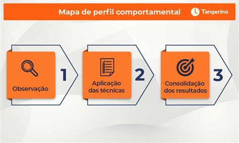 Protocolo De Observa O Comportamental Braincp