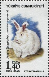 Stamp Angora Rabbit Oryctolagus Cuniculus Forma Domestica T Rkiye