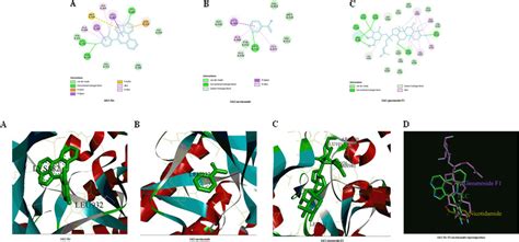 Molecular Docking Complex 2d And 3d Structure 2d Structure A