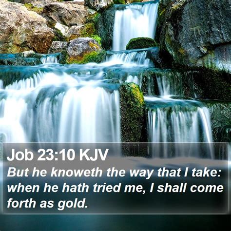 Job Kjv Bible Verse Images