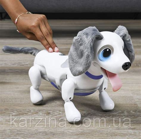 Интерактивная Собака Робот-игрушка Zoomer Playful Pup от Spin Master ...