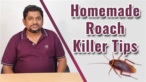 Homemade Roach Killer Tips Easy Way Free From Cockroaches Free From Cockroaches English