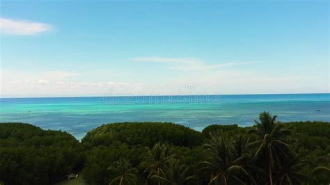 Bosque De Manglares En La Isla De Bantayan Filipinas Almacen De Video