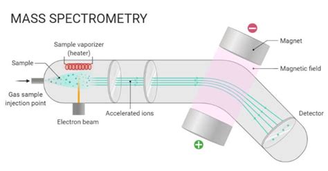 Espectrometría de masas EM Principio funcionamiento partes pasos