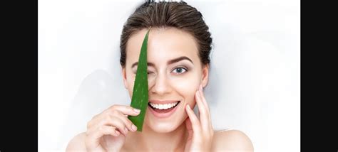 Glowing Health Unveiling The Wonders Of Aloe Vera Gel Vital Wellness