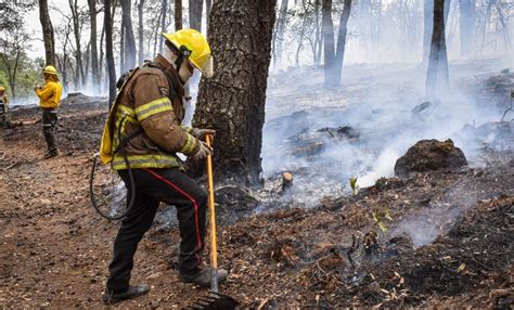 Incendios Forestales En Hidalgo Ya Superaron Hect Reas Afectadas En