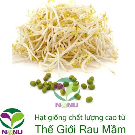 Gói 100g Hạt Giống Rau Mầm Đậu Xanh Đậu Làm Giá Đỗ Thế Giới Rau Mầm