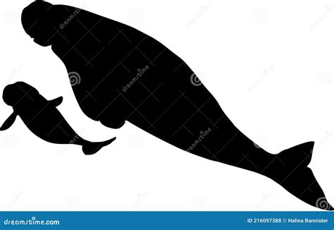 Set Of Manatee Silhouette Vector Art On A White Background ...