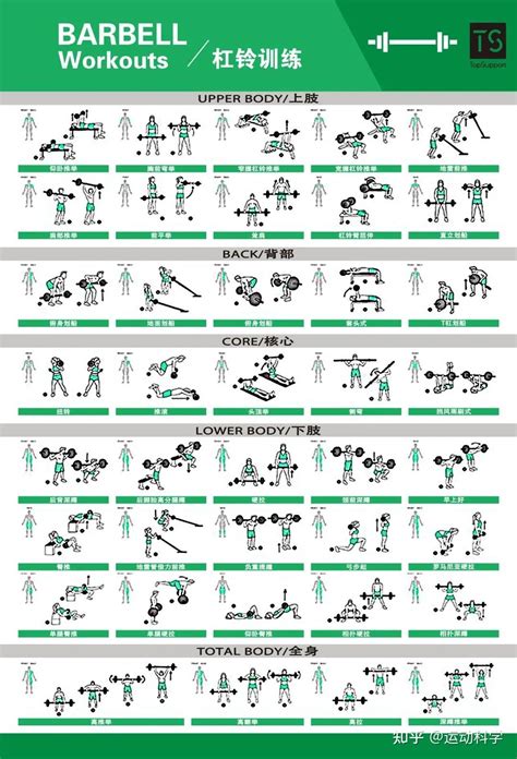 体能训练动作库图解大全 知乎