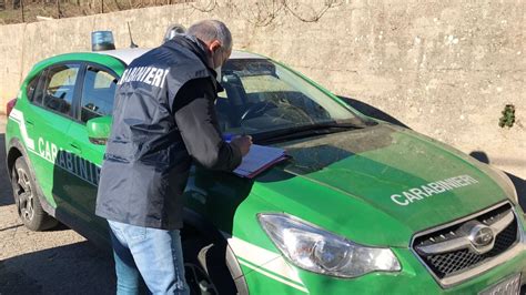 Carabinieri Forestali Arrestano Piromane Terni In Rete