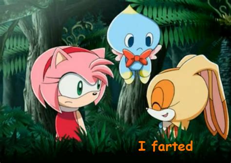 Sonic X Meme No12 By Ilovemycat456 On Deviantart