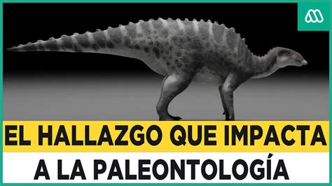 Este Es Es El Nuevo Dinosaurio Descubierto En La Patagonia Chilena Youtube