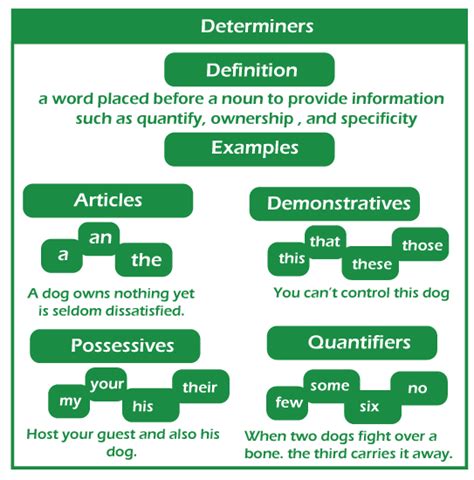 Determiners Rules Javatpoint