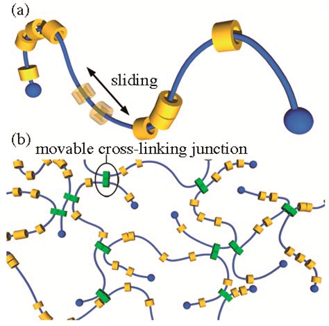 Polymers Free Full Text Volume Phase Transitions Of Slide Ring Gels