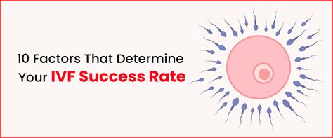 Top 10 Factors That Determine Your Ivf Success Rate Imprimis