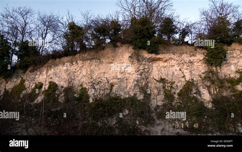 Northern Face Of East Pit With Lime Kiln Close Above Cherry Hinton