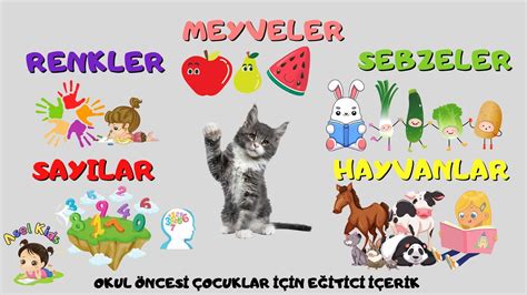 MEYVELER SEBZELER RENKLER SAYILAR VE HAYVANLARI ÖĞRENİYORUZ