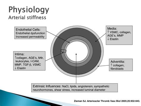 Ppt Diseases Of Aorta Powerpoint Presentation Free Download Id 9335049