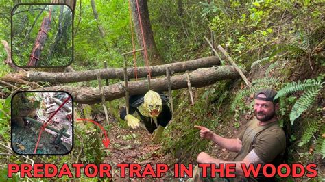 Solo Overnight Survival Instructor Builds Arnolds Predator Trap In The