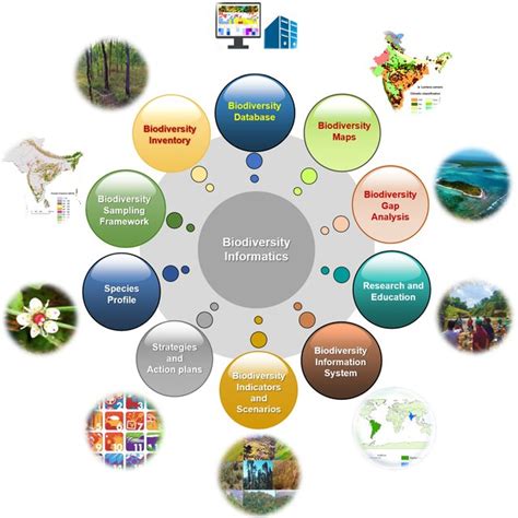 Remote Sensing Data For Biodiversity Monitoring Components Download Scientific Diagram