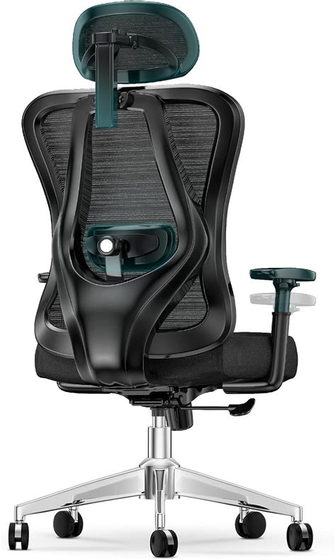 Naspaluro Ergonomic Office Chair：high Back Desk Chair With 3d