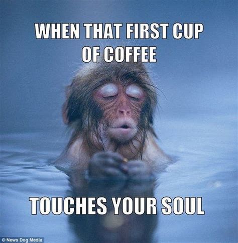 99 Funny Coffee Memes To Start Your Morning With A Roast Yourtango