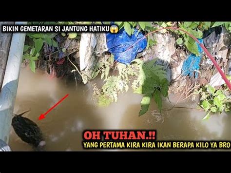 Emosi Mancing Di Selokan Air Keruh Ikan Besar Besar Kelaparan