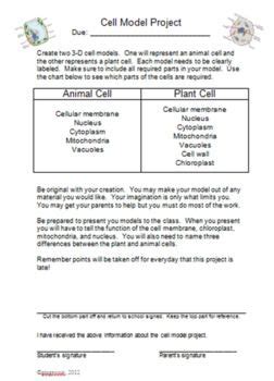 Cell Model Project Guide and Rubric | Cell model project, Cell model, Science cells