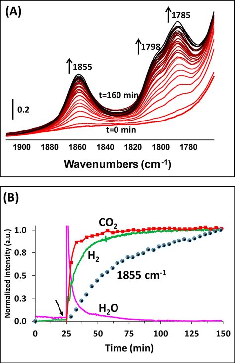 Selective Photocatalytic Dehydrogenation Of Formic Acid By An In Situ