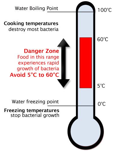 Information And Advice Food Safety