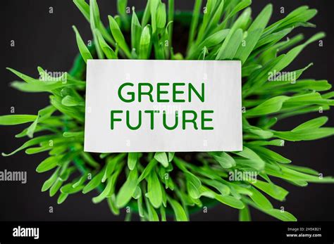 Green Future