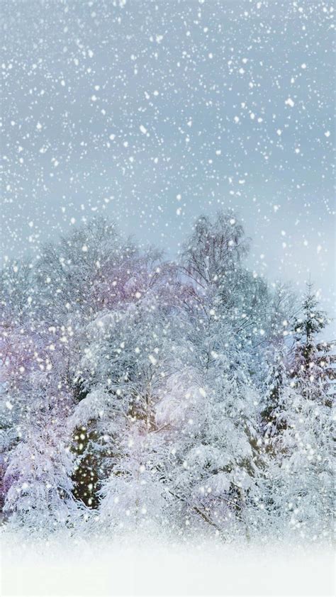 Download Clear Sky With Snow Falling Wallpaper