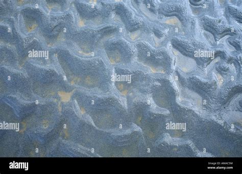 Mangrove beach North Western Australia Stock Photo - Alamy