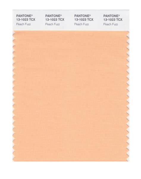 Pantones 2024 Color Of The Year Is Peach Fuzz