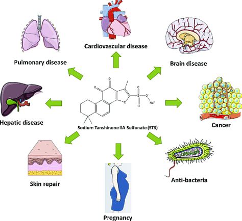 Sodium Tanshinone Iia Sulfonate Sts Is Effective For Numerous