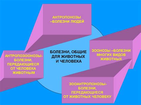 Ветеринарная санитария - презентация онлайн