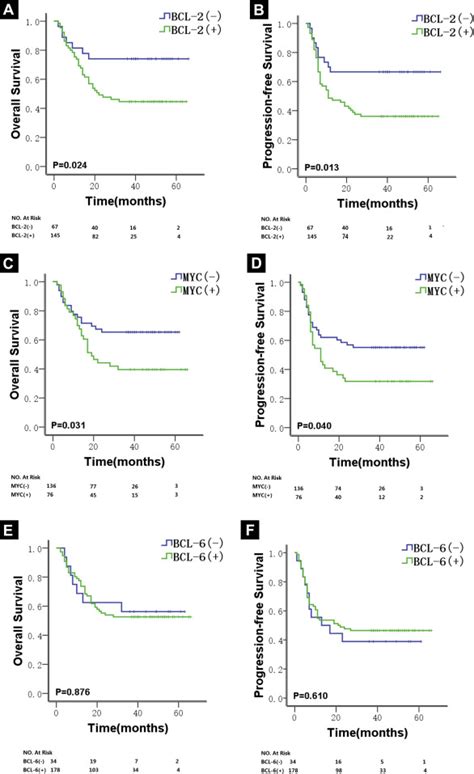 Prognostic Significance Of BCL 2 And BCL 6 Expression In MYC Positive