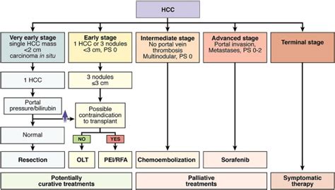 Diagnosis And Treatment Of Hepatocellular Carcinoma Gastroenterology