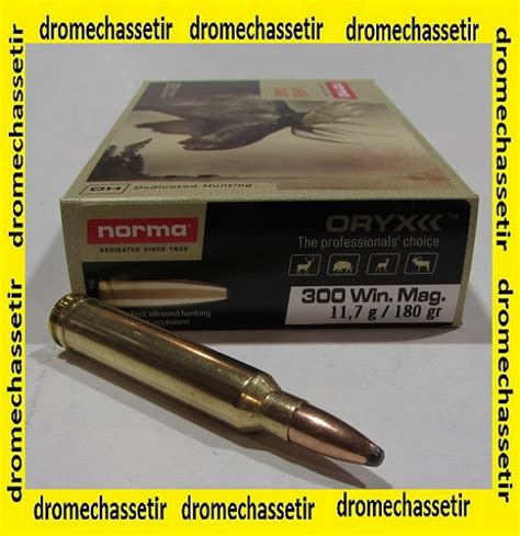 Armurerie Drôme Chasse Tir Boite 20 Cartouches Cal 300 Winchester