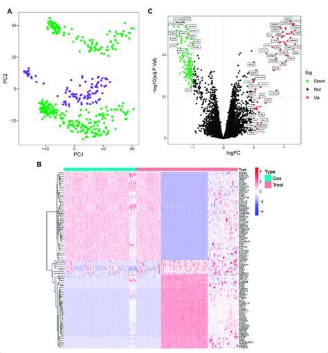 Screening Of Differential Genes In Non Small Cell Lung Cancer Control Download Scientific