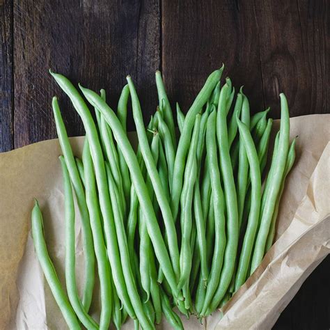 Blue Lake Bush Bean 274 Seeds 1 Lbs Non Gmo Heirloom Open