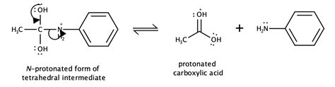 On the basis of the general mechanism for amide hydrolysis i | Quizlet