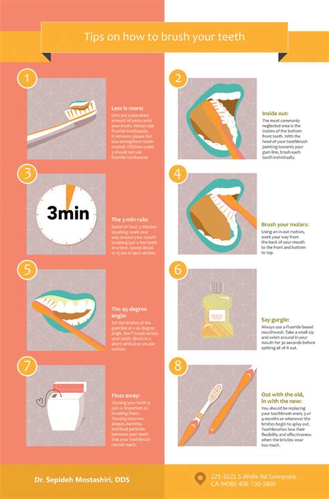 infographic   brush  teeth infographicbeecom