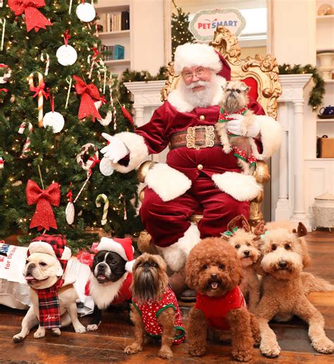 Later opening times are coming to your local petsmart hours 19