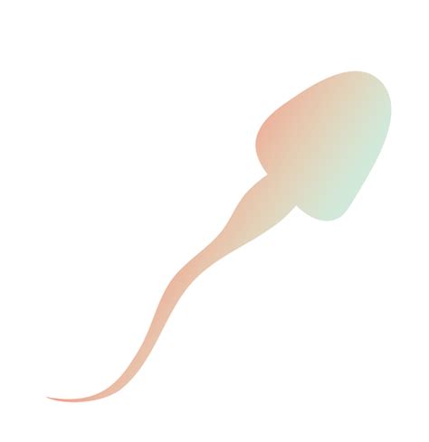 Spermatozo De Seul S